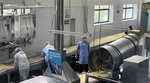 從甜茶館商標注冊看拉薩服務創(chuàng)新與監(jiān)管協(xié)同