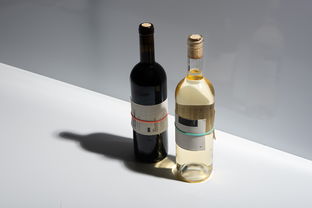 零酒精也能暢飲？探尋即飲型無酒精飲料的新風潮